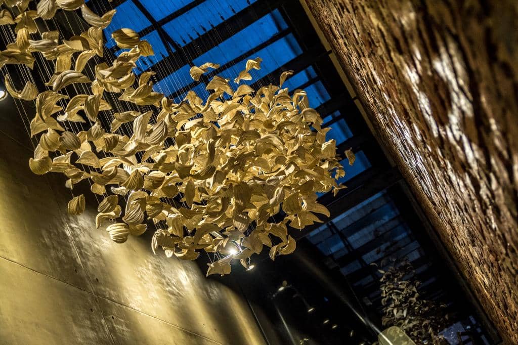 Trucha, Zucchini y Bagna Cauda