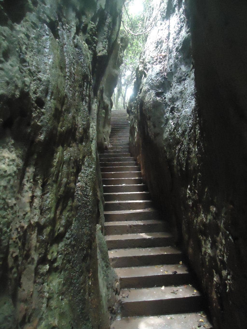 Scenic Walking Trails