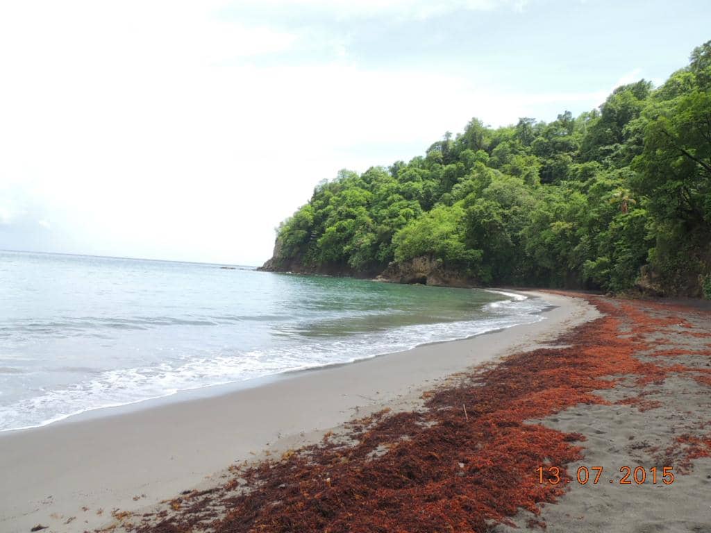 Dramatic Black Sand Beach