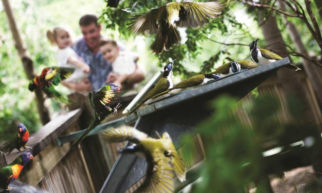 Nerima Japanese Gardens