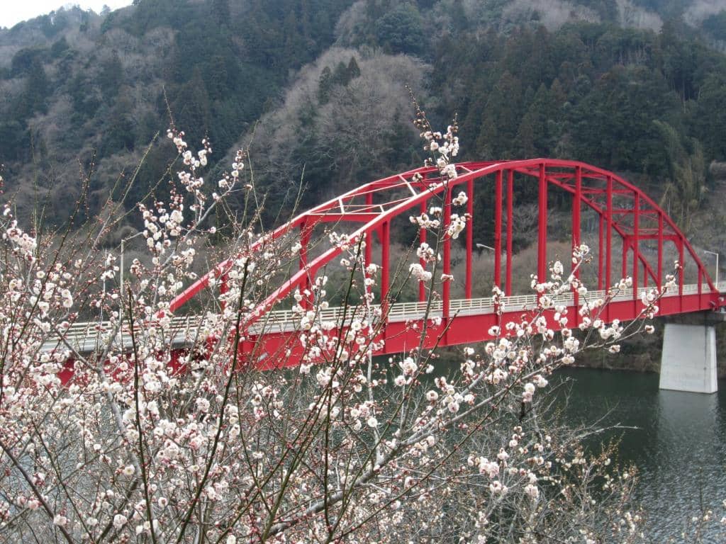 Local Treats and Eats