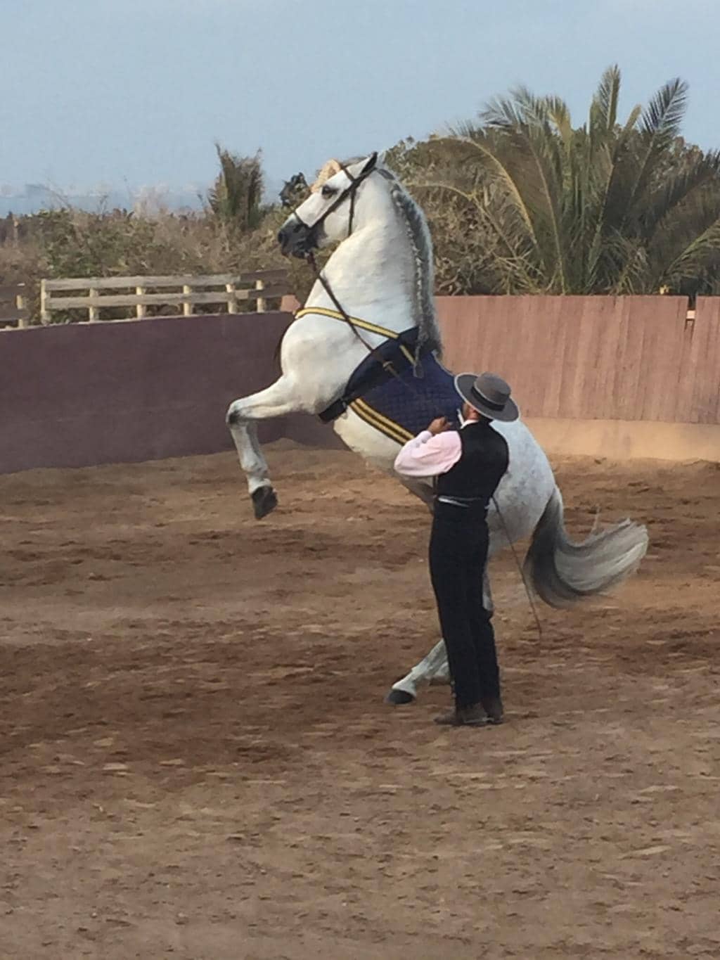 Charming Rural Ambiance