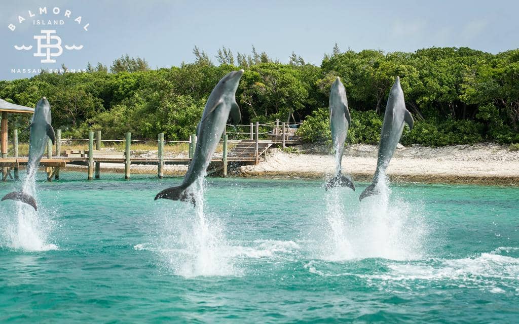 Private Cabana Experience