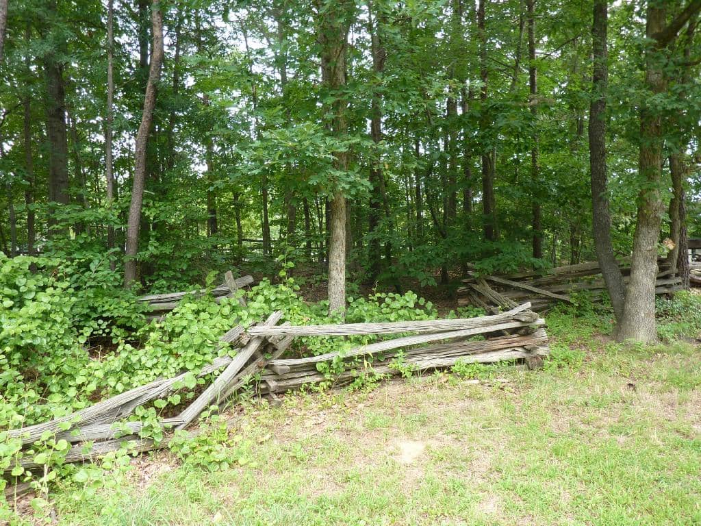Brick Paved Walking Trail