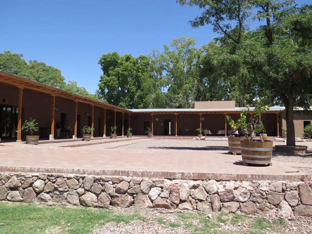 Guided Wine Tastings