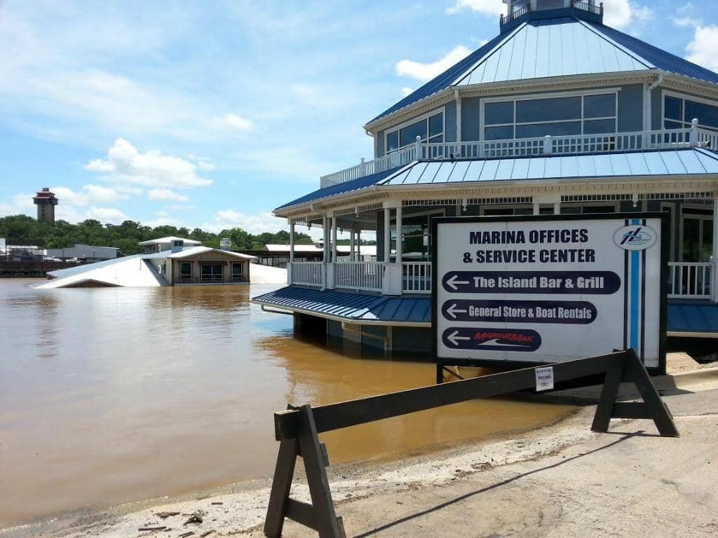 Vibrant Poolside Atmosphere