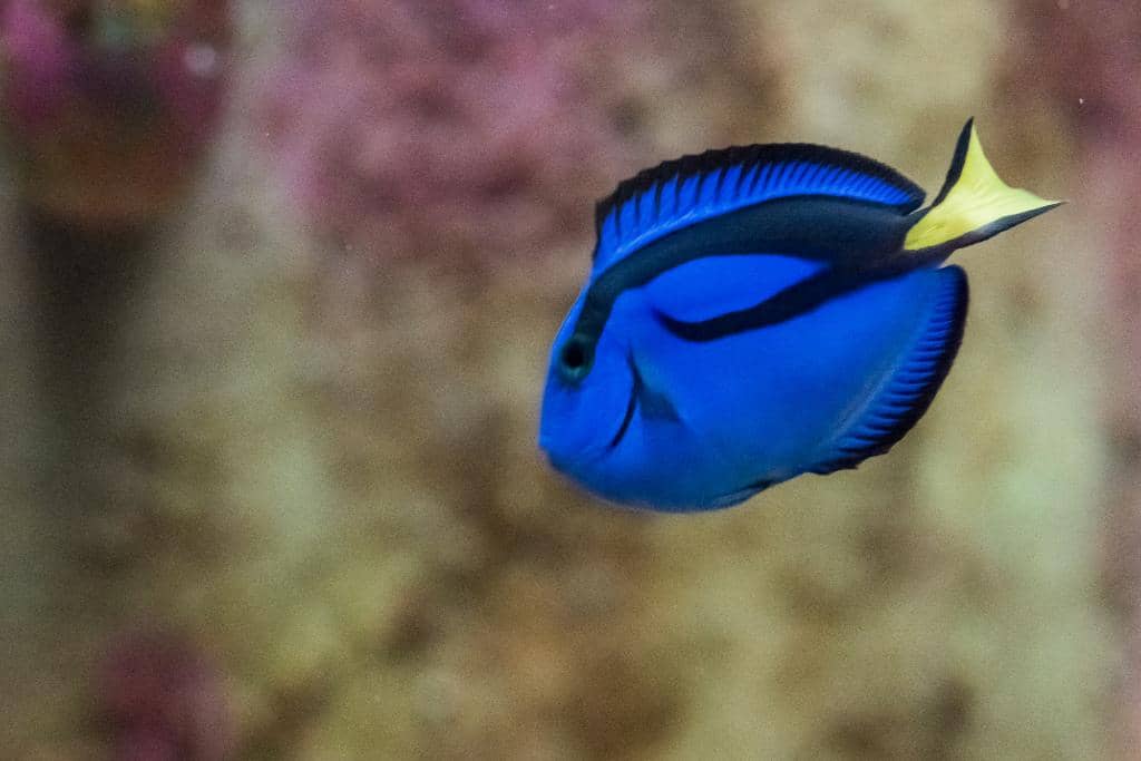 Interactive Kids' Zone