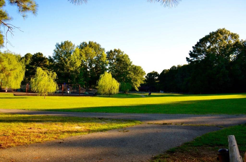 Towpath Trail Access