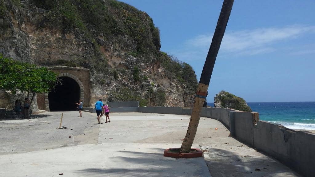 Local Vendors & Activities