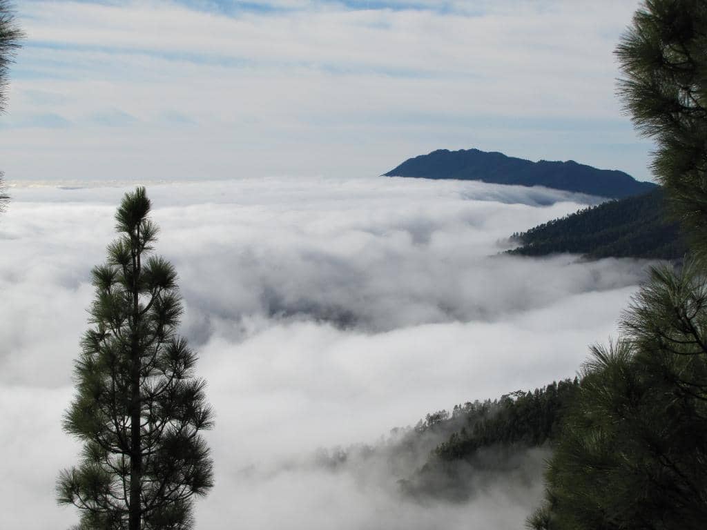 World-Class Telescopes