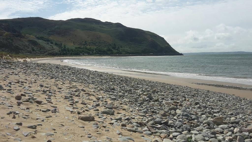 Dog-Friendly Paradise