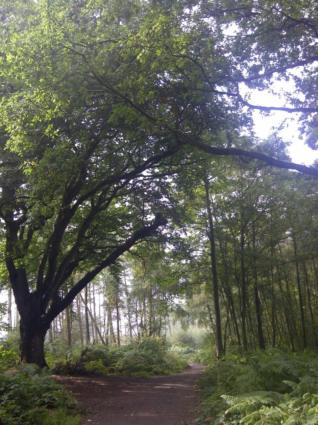 Haughmond Lodge Views