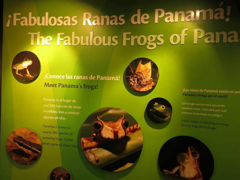 Interactive Touch Tanks