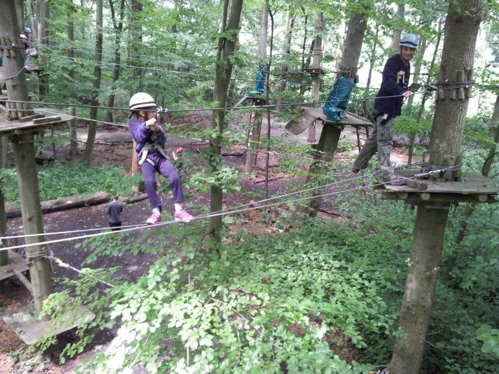 Zip Line Thrills