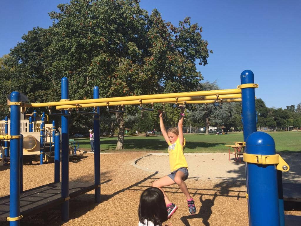 Olympic-Style Swimming Pool