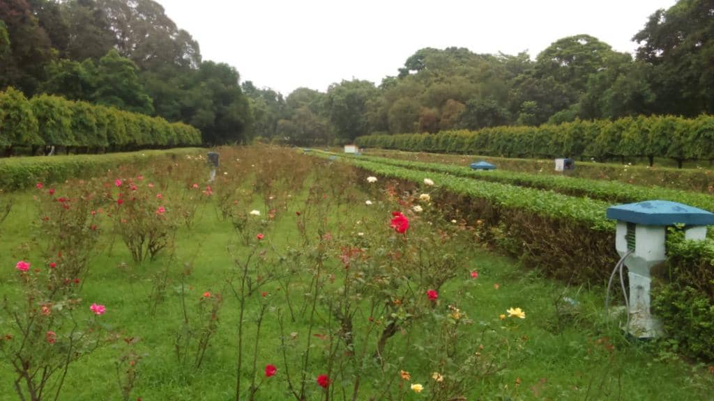 Dusit Arun Sky Garden