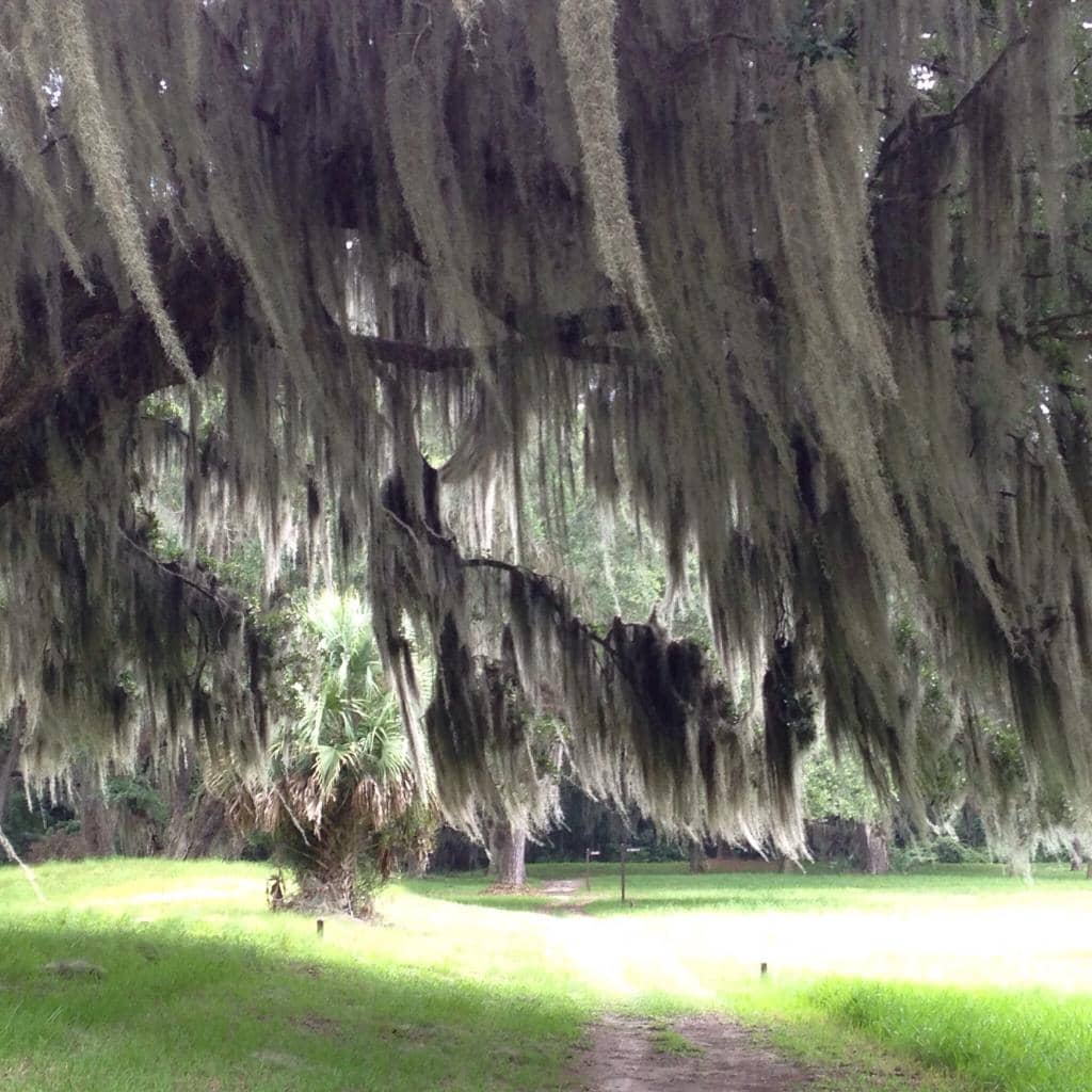 Living History Demonstrations
