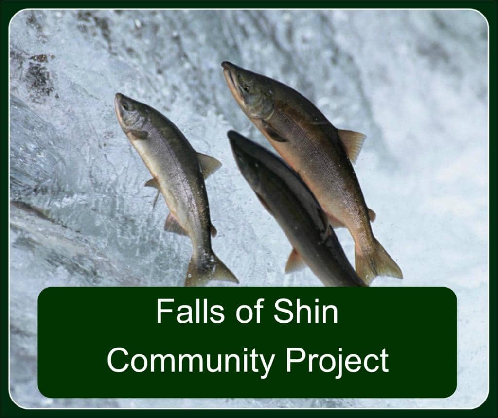 Children's Play Area