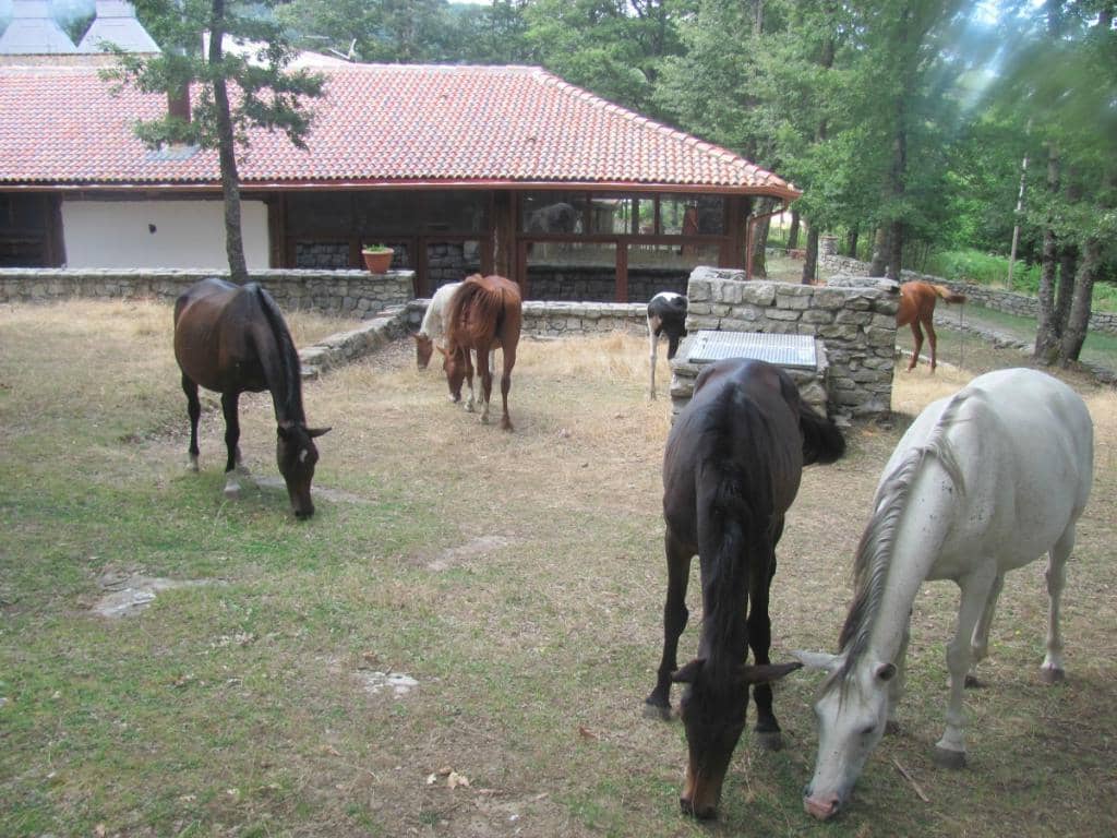 Authentic Umbrian Classics