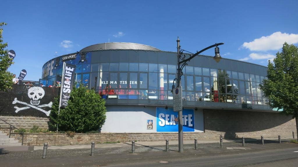 Interactive 'Feeling Pool'