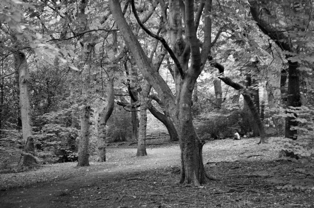 Children's Playground