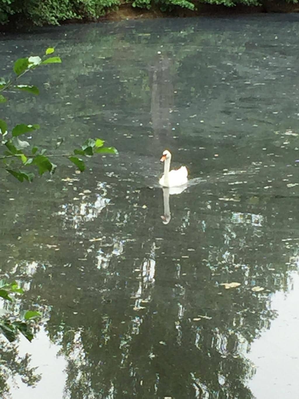 Woodland and Marsh Trails