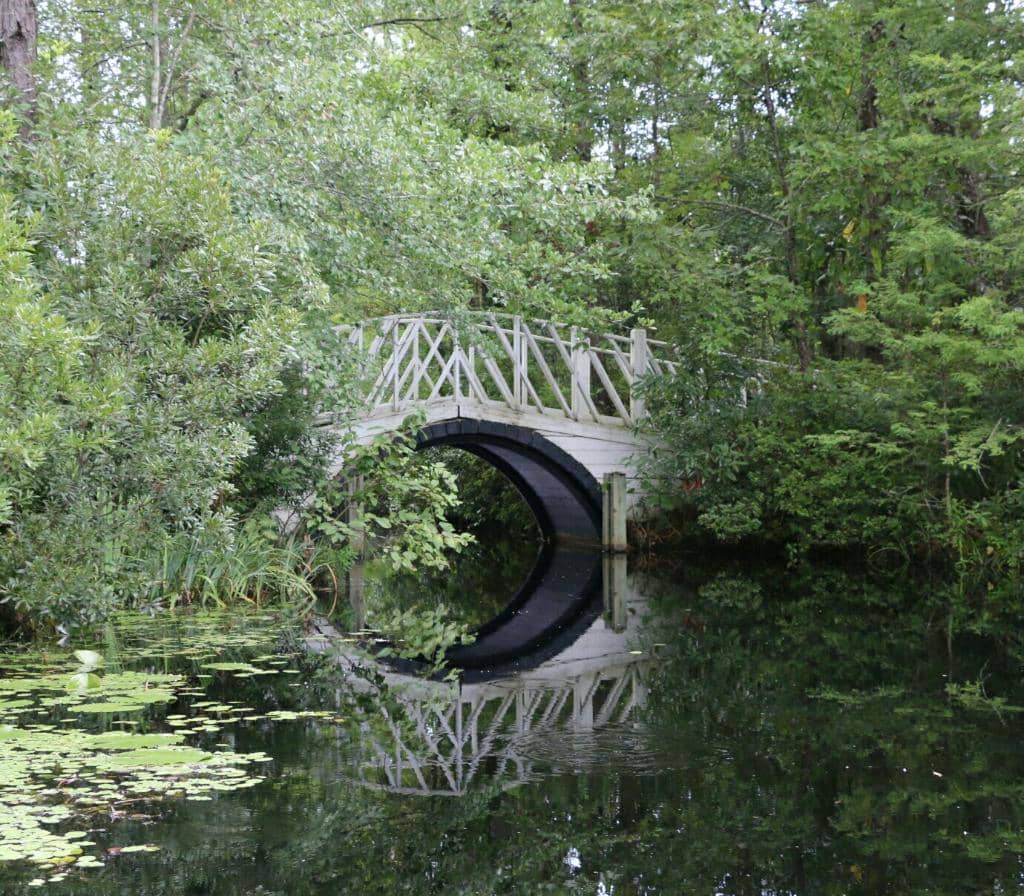 The Notebook Rowboat Scene