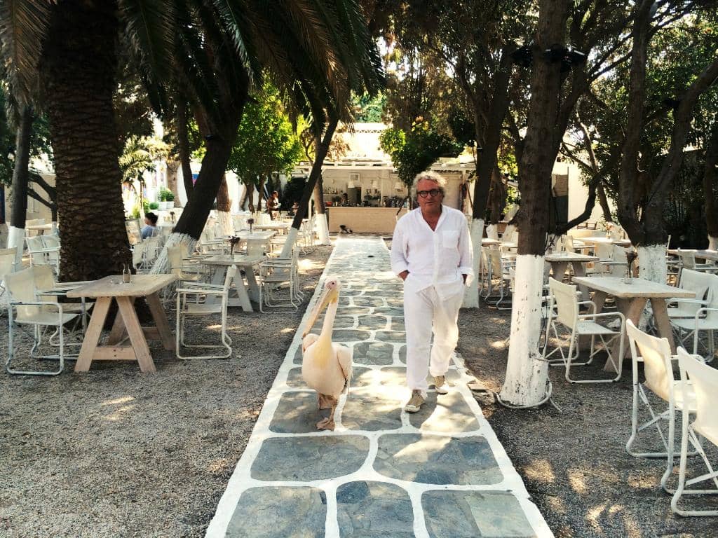 Delicious Greek Flavors