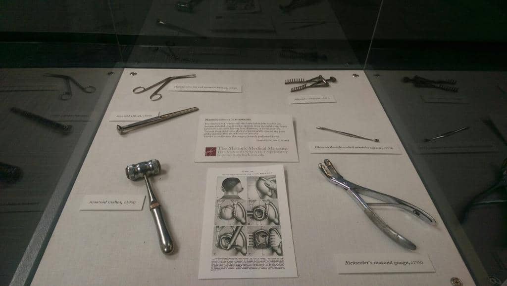 Performance Art & Lectures