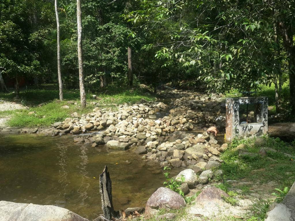 Animal Feeding Sessions