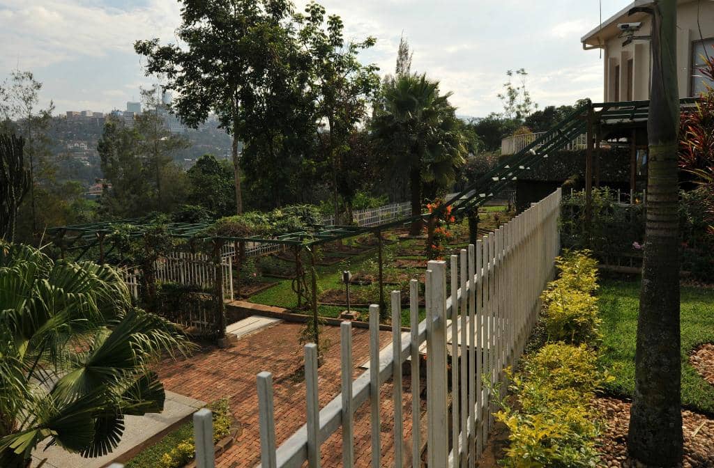 Survivor Testimonies