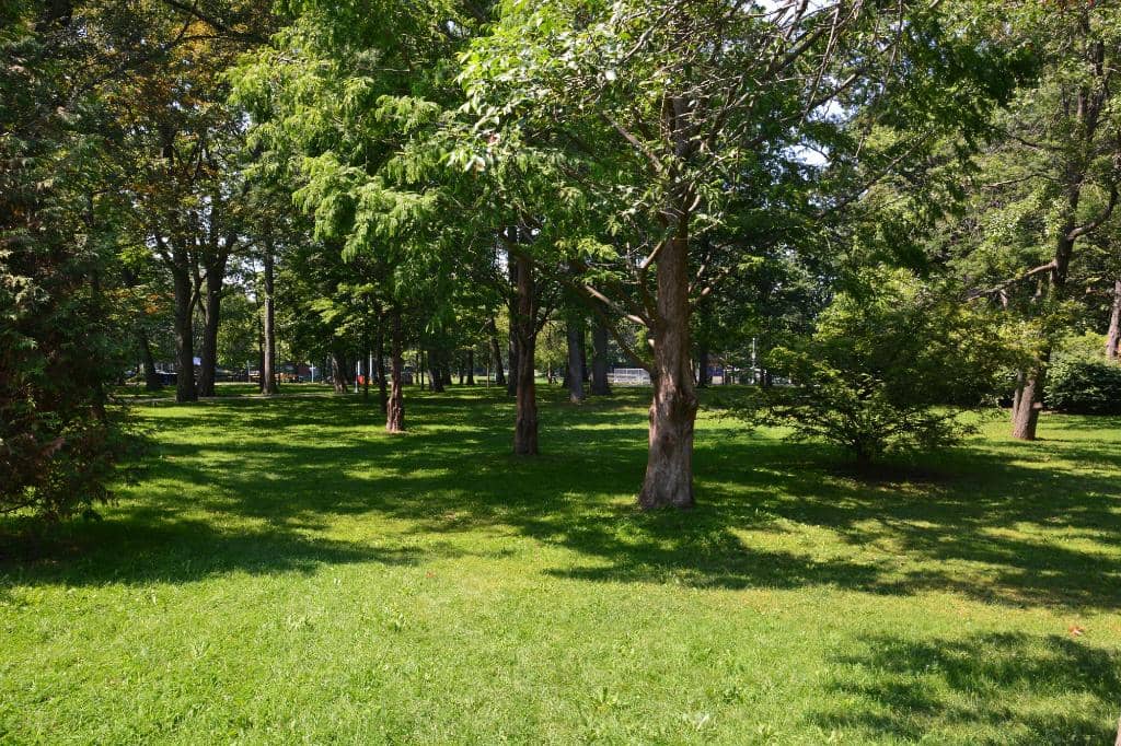 Wading Pool & Ice Rink