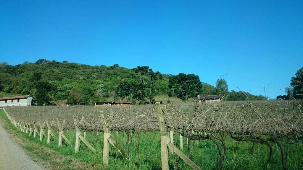 Pizzeria & Cucina Experience