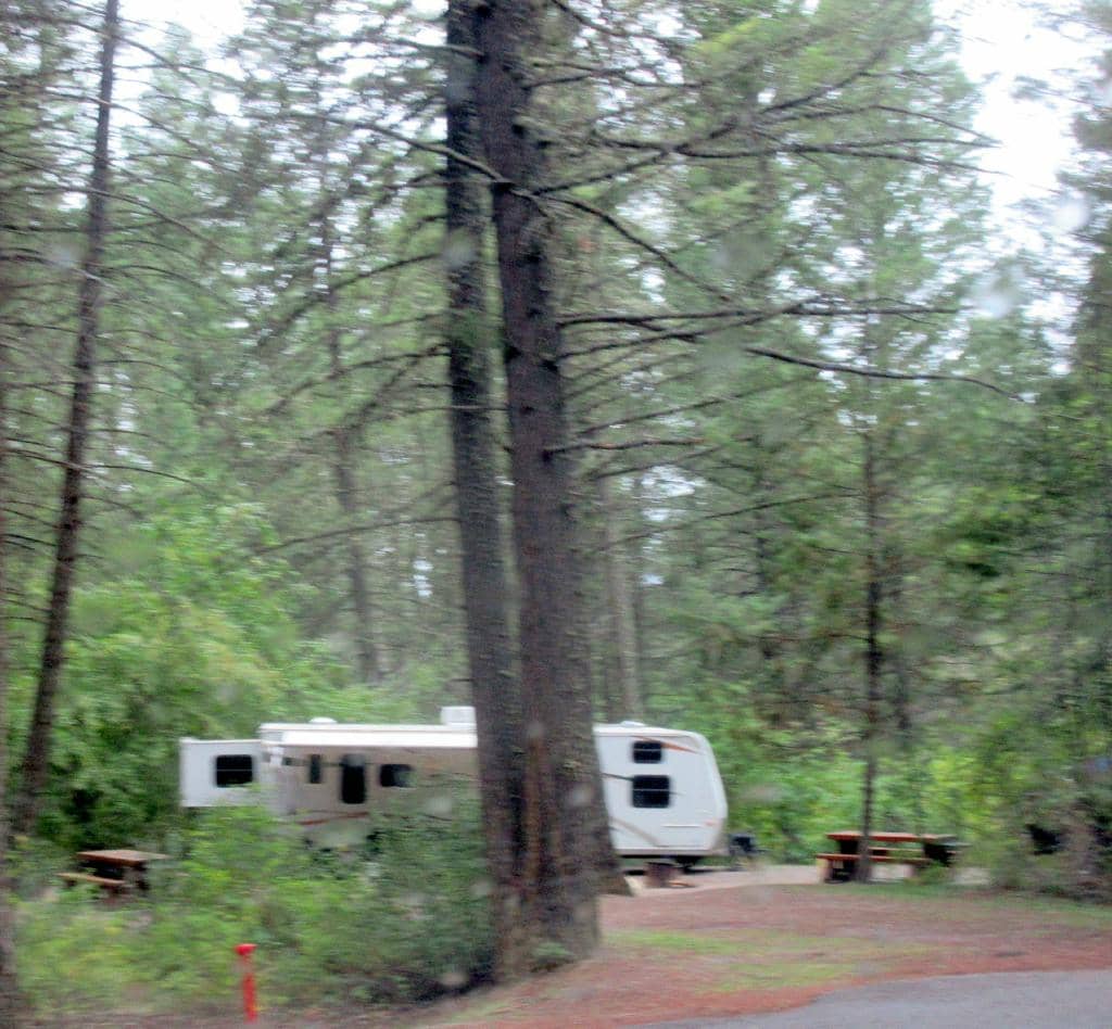 Quiet, Spacious Campsites