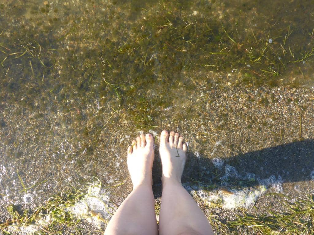 Sand Bar State Park (2026) – Best of TikTok, Instagram & Reddit Travel ...