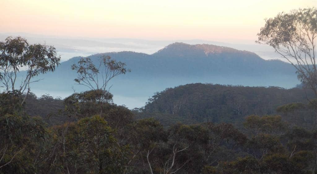 Serene Natural Environment