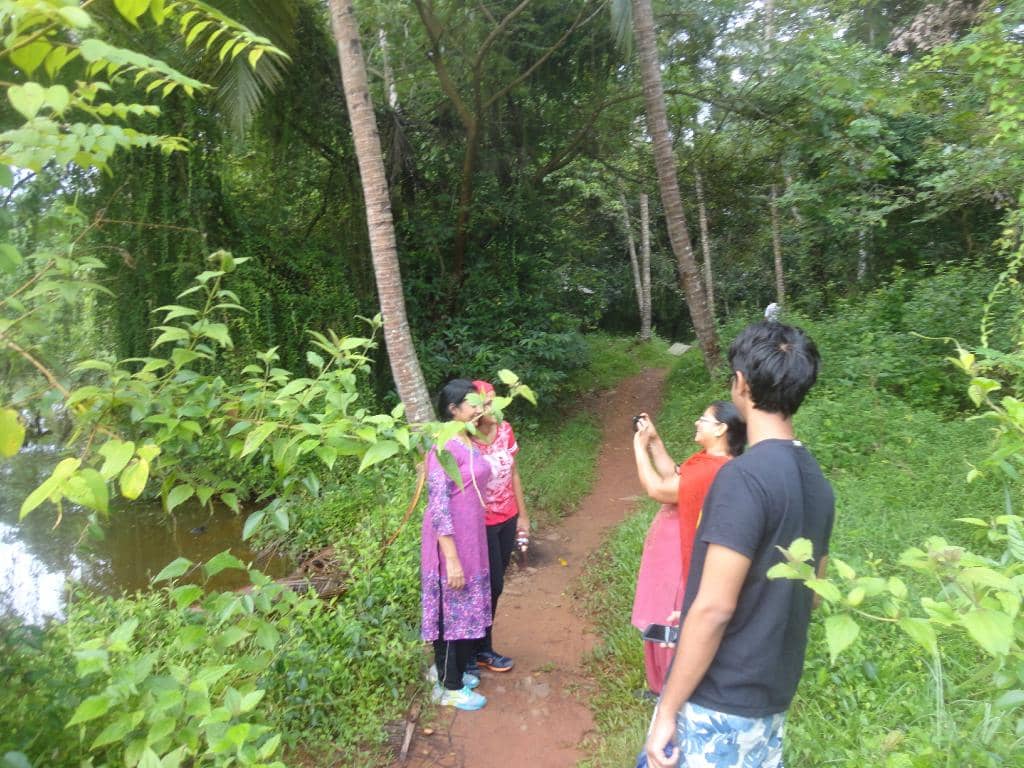 Scenic Walking Trails