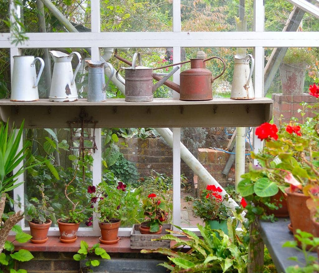 Sense and Sensibility Connection