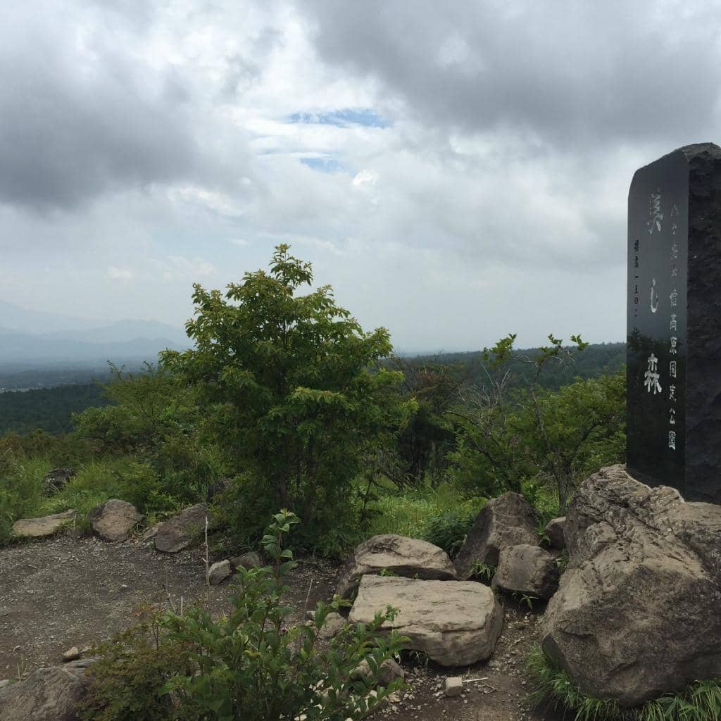 Kyoho Grape Soft Serve