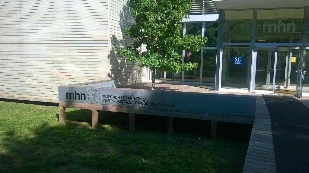 Vast Mineral Collection