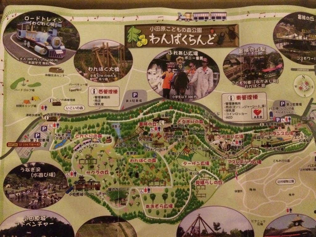 Scenic Forest Trails