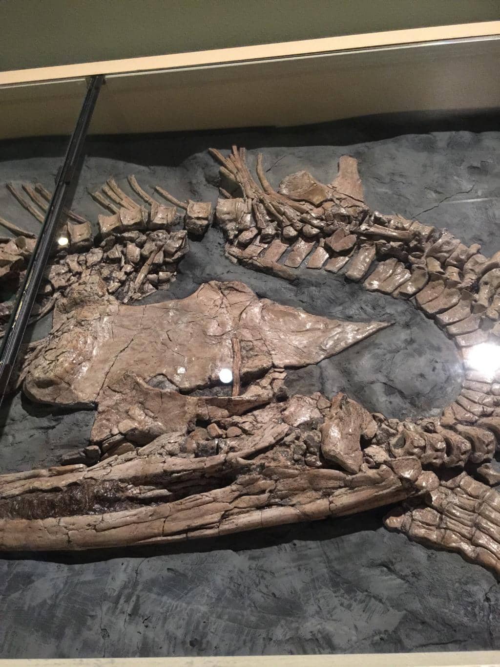 Interactive Discovery Rooms