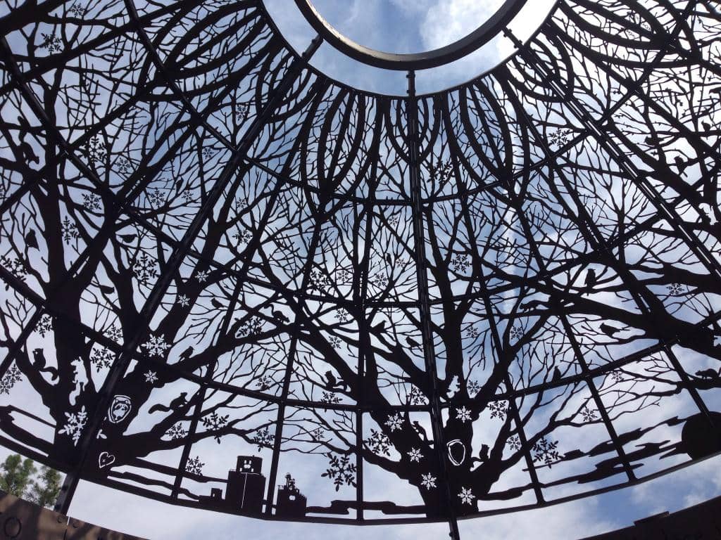 Vibrant Flower Displays