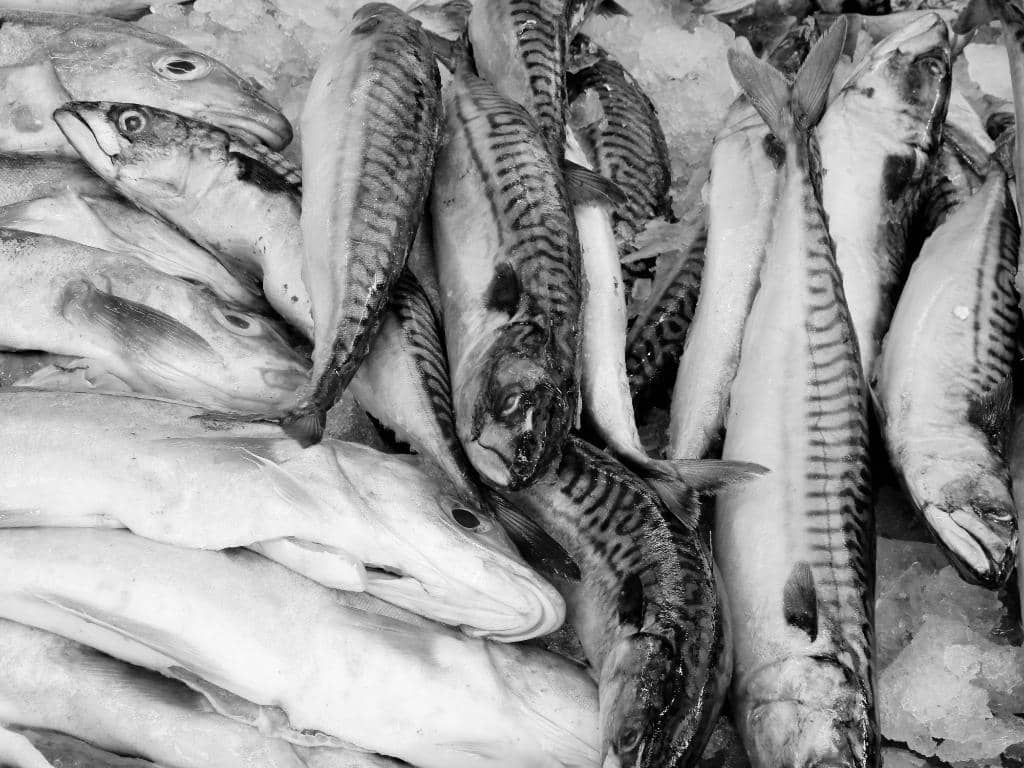 Fresh Seafood Stalls