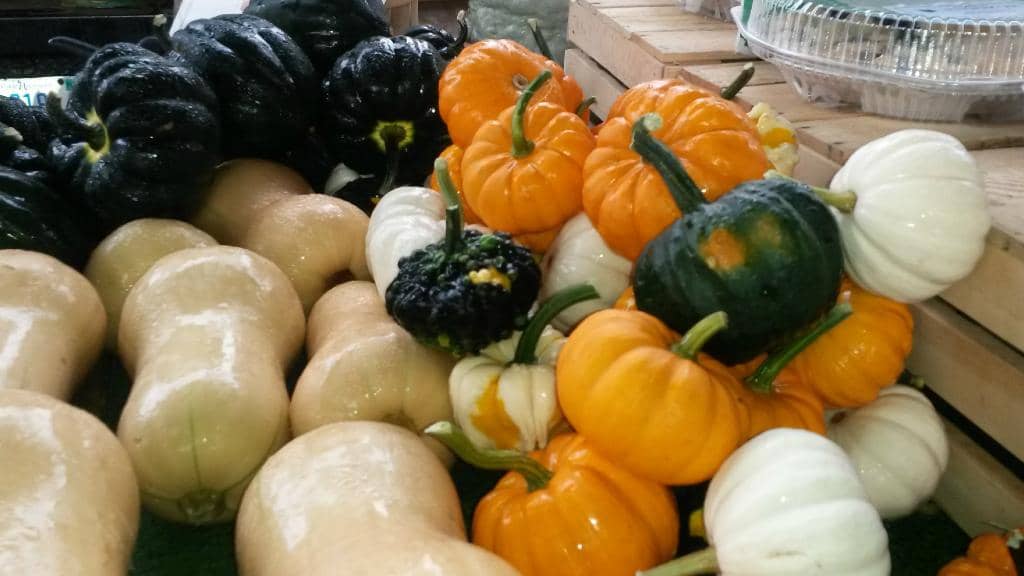 Delicious Food Vendors