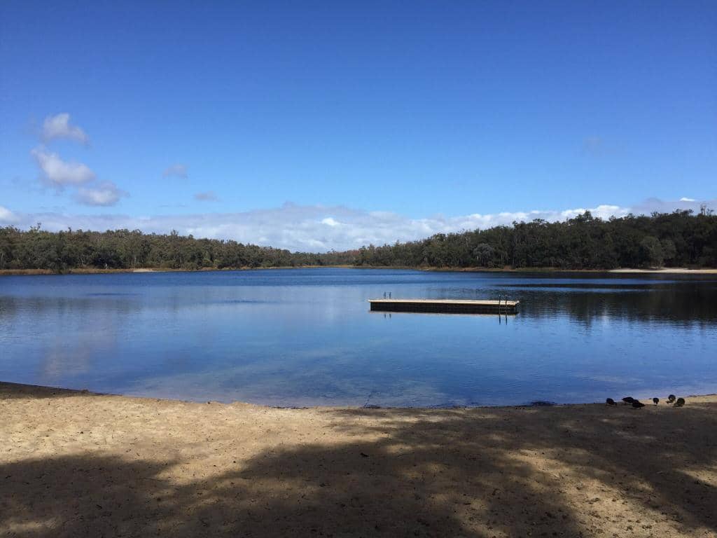 Swimming & Refreshing Dips