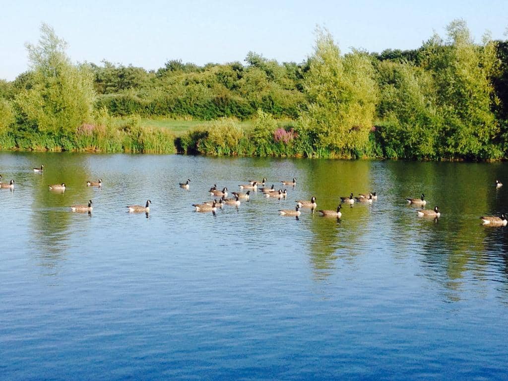 Pushchair-Friendly Trails