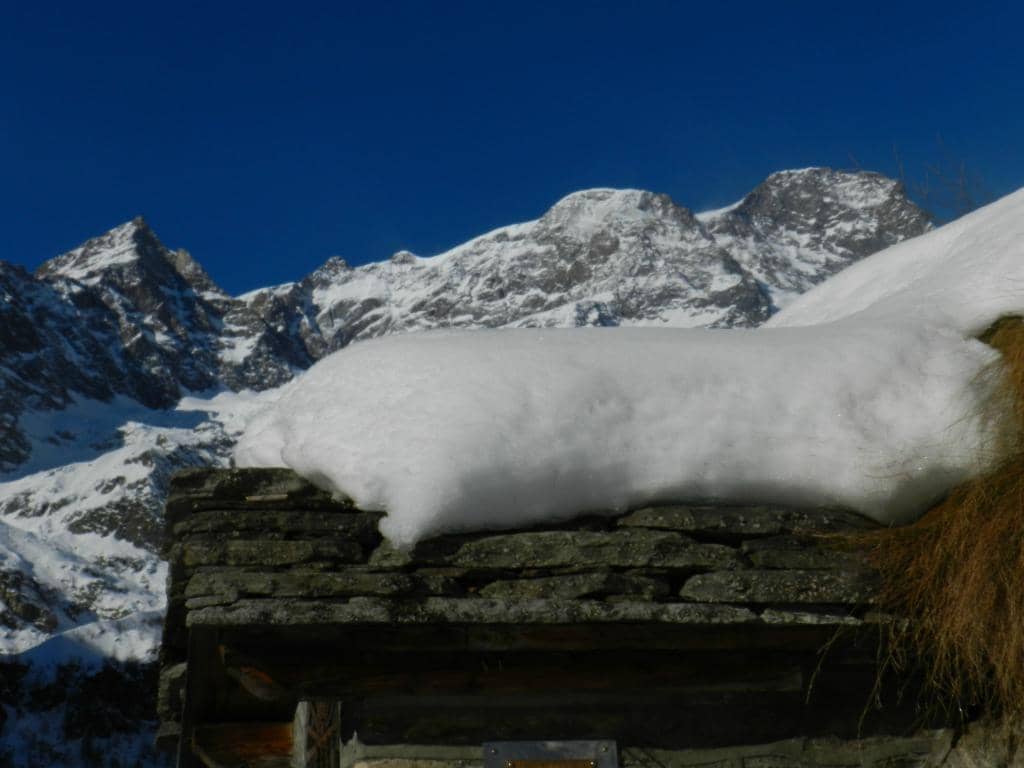 Alpine Botanical Garden