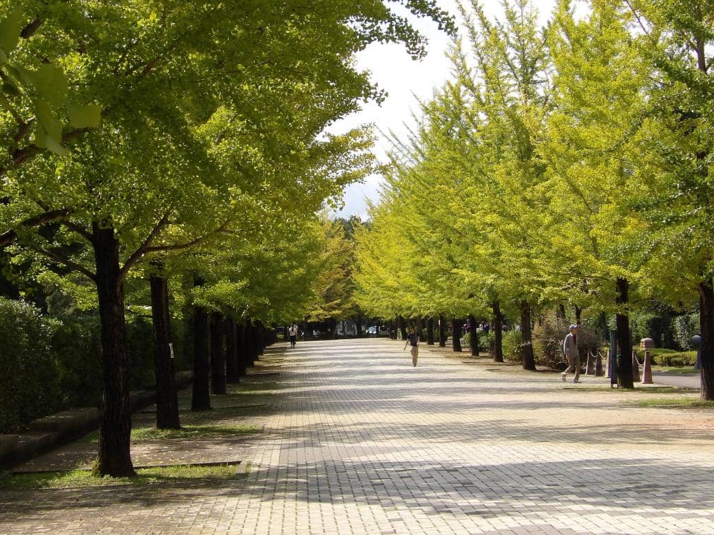 Greek-Style Monuments