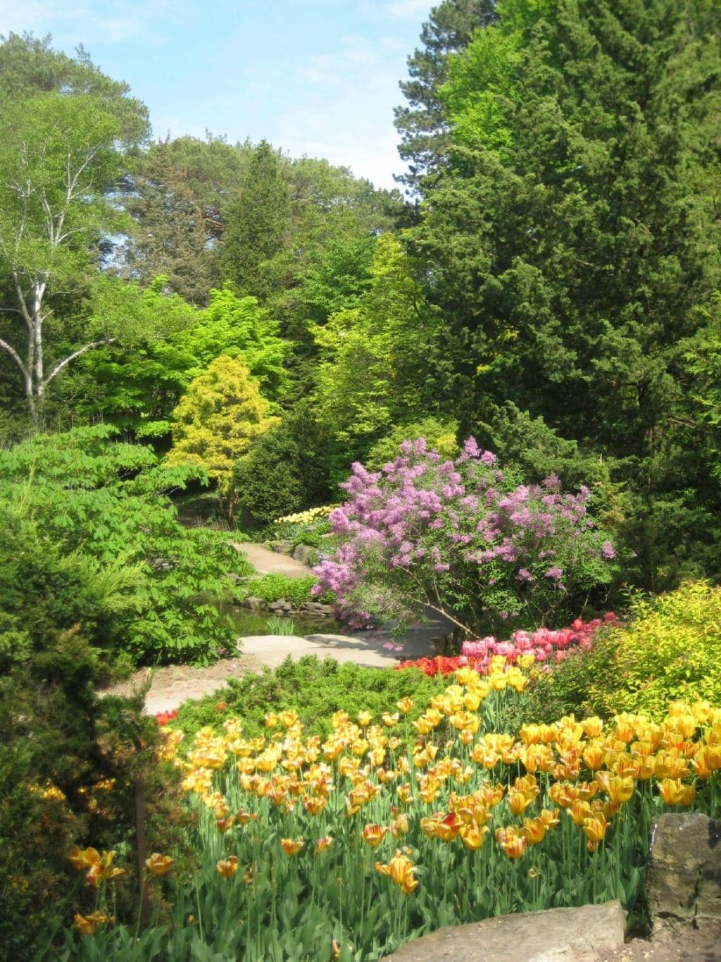 The Turner Pavilion Teahouse